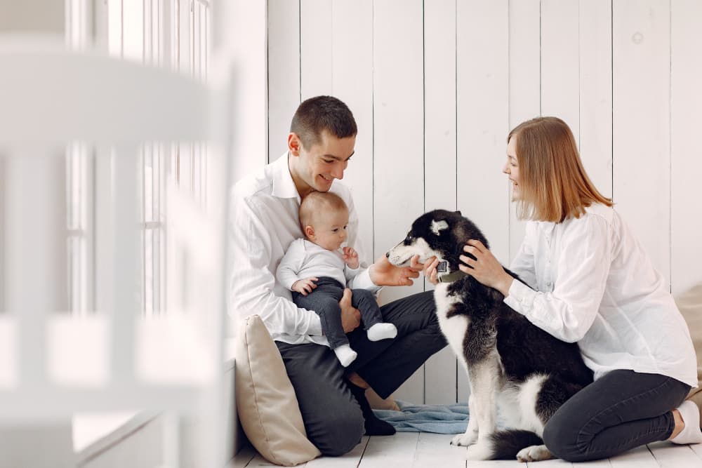Ev ortamında köpekle ilgilenen aile ve bakıcı