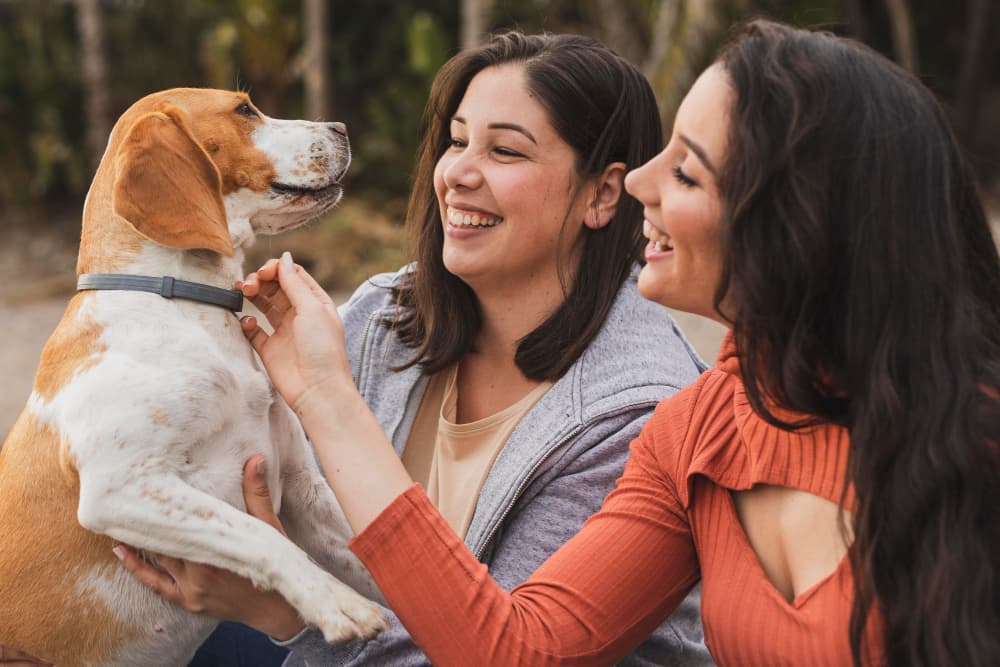Köpekle ilgilenen iki kişi