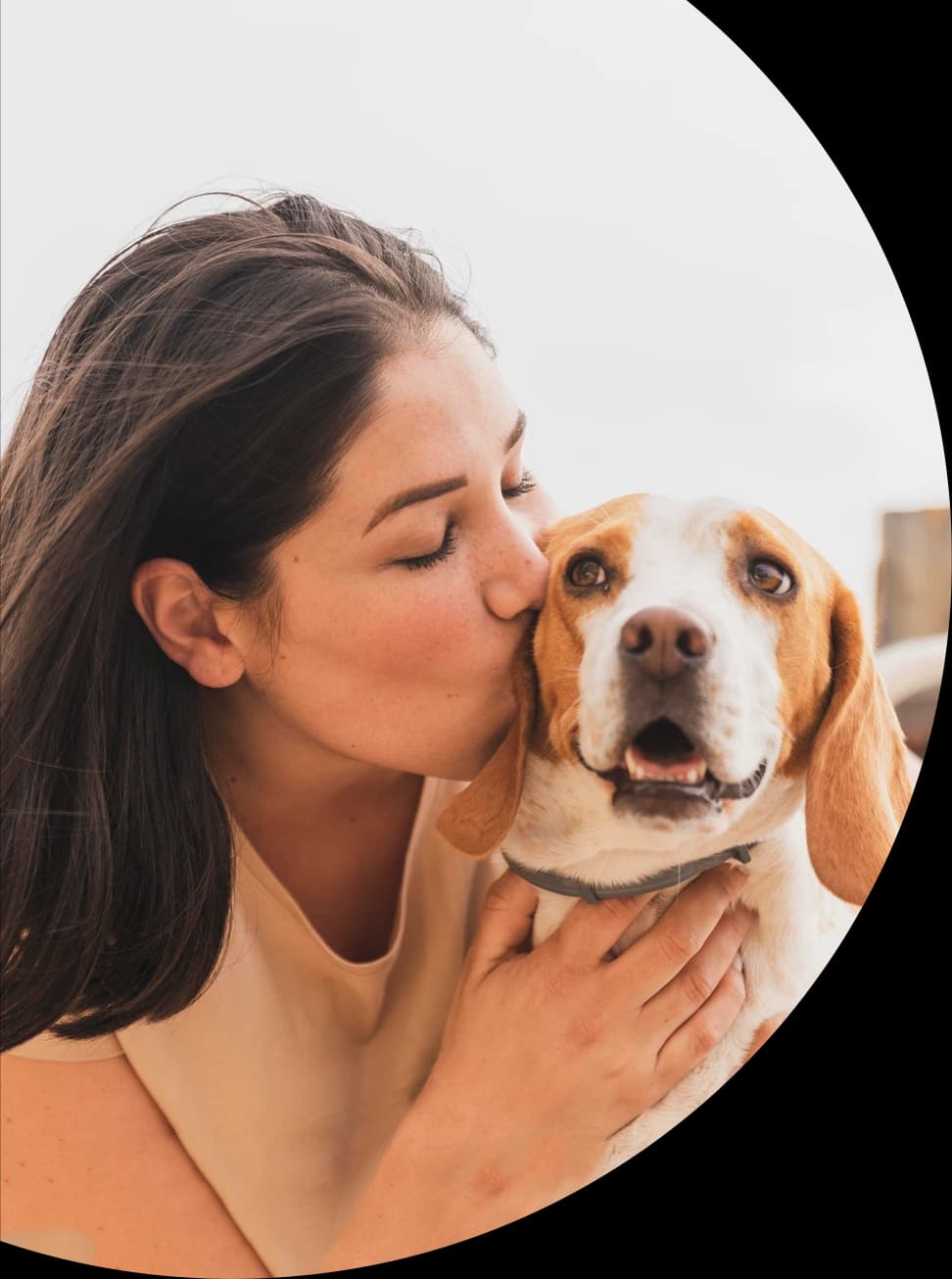 Pet owner meeting an English-speaking pet sitter in Amsterdam