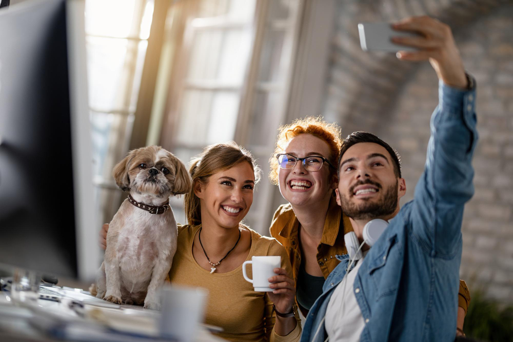 Kedi ve Köpeklerde Aşı Takvimi
